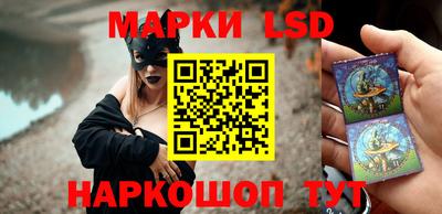 шишки Бийск