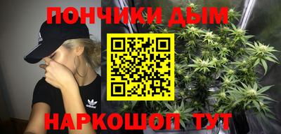шишки Бийск