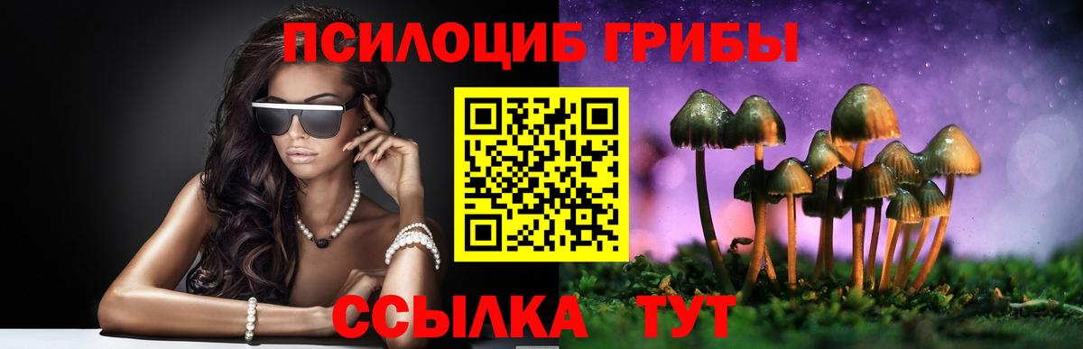 Псилоцибиновые грибы MAGIC MUSHROOMS Качканар